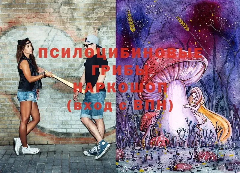 Псилоцибиновые грибы Cubensis  блэк спрут ССЫЛКА  Слюдянка 